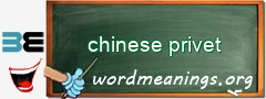 WordMeaning blackboard for chinese privet